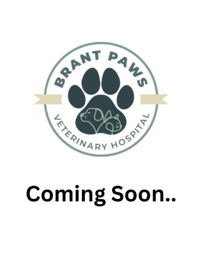Coming Soon..
